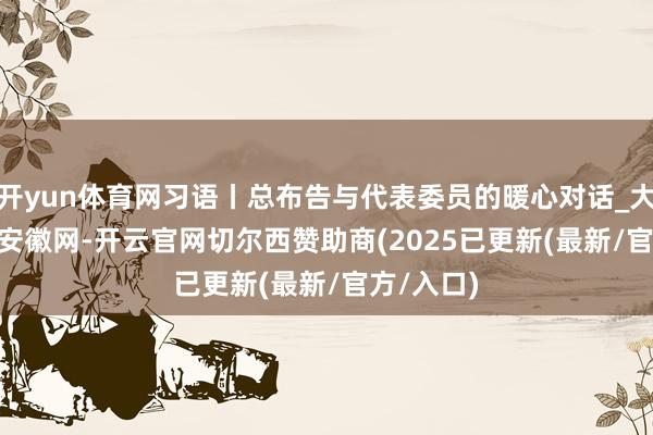 开yun体育网习语丨总布告与代表委员的暖心对话_大皖新闻 | 安徽网-开云官网切尔西赞助商(2025已更新(最新/官方/入口)