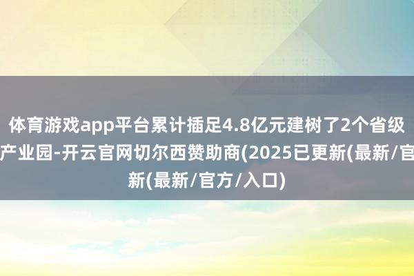 体育游戏app平台累计插足4.8亿元建树了2个省级当代农业产业园-开云官网切尔西赞助商(2025已更新(最新/官方/入口)