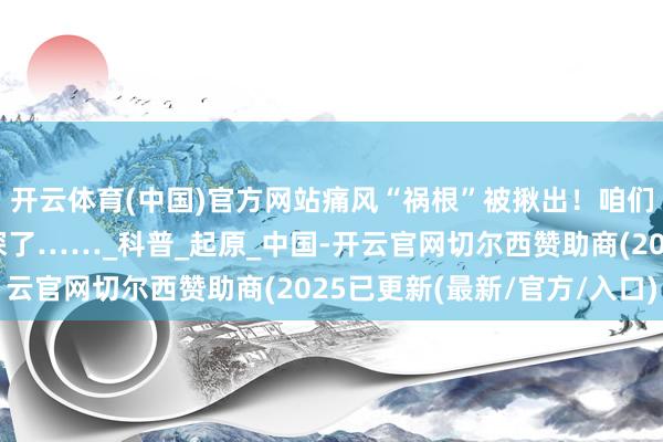 开云体育(中国)官方网站痛风“祸根”被揪出！咱们对嘌呤的诬告真的太深了……_科普_起原_中国-开云官网切尔西赞助商(2025已更新(最新/官方/入口)
