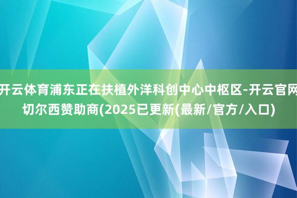 开云体育浦东正在扶植外洋科创中心中枢区-开云官网切尔西赞助商(2025已更新(最新/官方/入口)