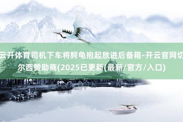 云开体育司机下车将鳄龟抱起放进后备箱-开云官网切尔西赞助商(2025已更新(最新/官方/入口)