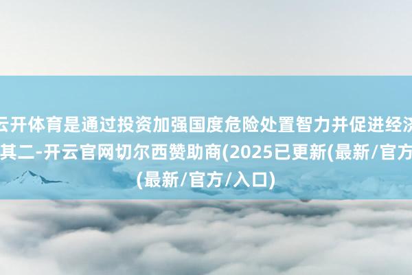 云开体育是通过投资加强国度危险处置智力并促进经济增长；其二-开云官网切尔西赞助商(2025已更新(最新/官方/入口)