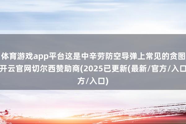 体育游戏app平台这是中辛劳防空导弹上常见的贪图-开云官网切尔西赞助商(2025已更新(最新/官方/入口)